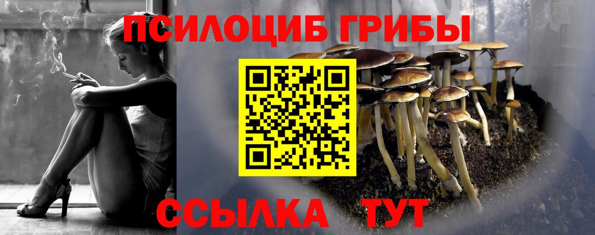 Нарткала  Галлюциногенные грибы ЛСД  Вход с VPN 