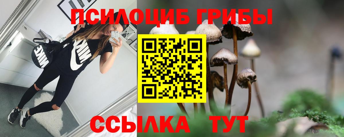 Псилоцибиновые грибы прущие грибы Нарткала